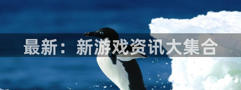 多彩娱乐下载链接
