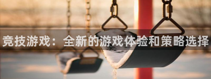 多彩娱乐：竞技游戏：全新的游戏体验和策略选择