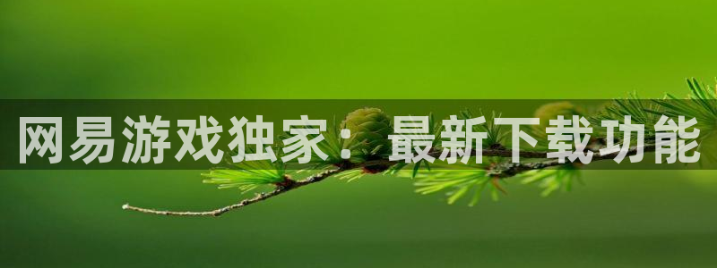 多彩娱乐注册服务条款：网易游戏独家：最新下载功能