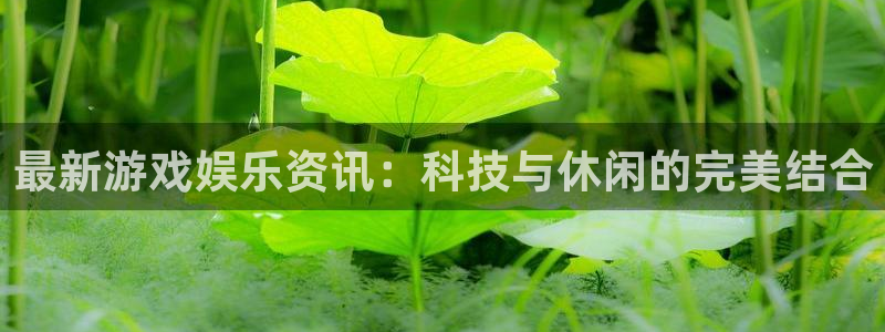 多彩娱乐app下载|下载地址：最新游戏娱乐资讯：科技与休闲的