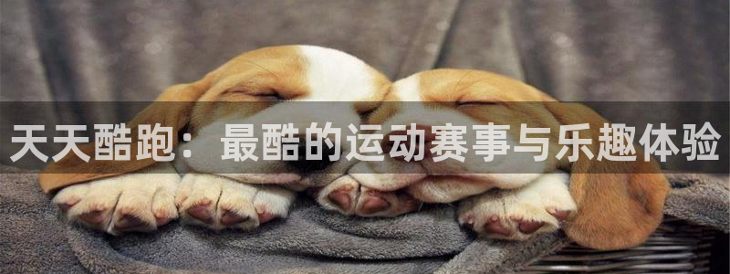 多彩娱乐平台官方网站：天天酷跑：最酷的运动赛事与乐趣体验