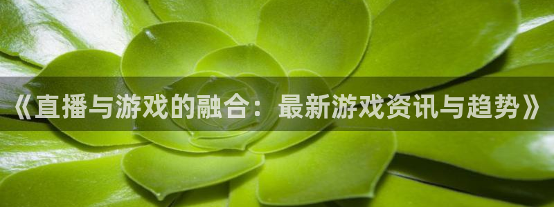 多彩娱乐网页登录入口：《直播与游戏的融合：最新游戏资讯与趋势