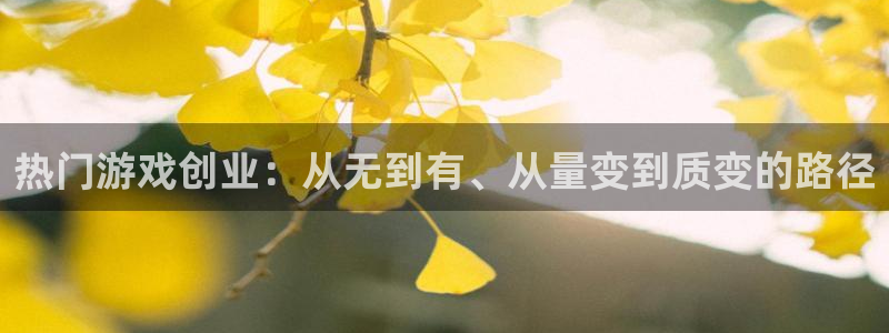 多彩娱乐平台注册资金多少：热门游戏创业：从无到有、从量变到质