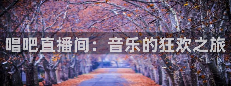 178篮球直播体育赛事官网：唱吧直播间：音乐的狂欢之旅
