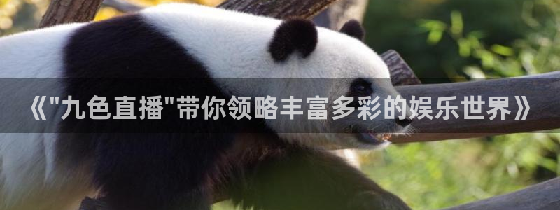 体育直播178在线观看免费：《\