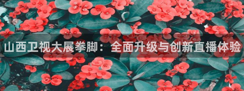 178直播看球：山西卫视大展拳脚：全面升级与创新直播体验