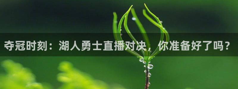 nba篮球直播视频在线直播178