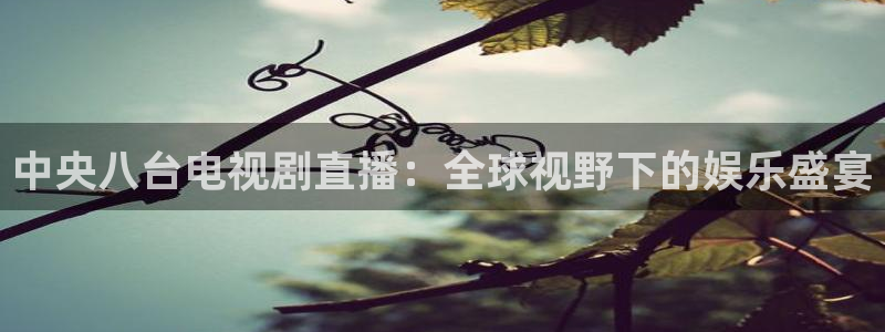 178直播体育赛事直播