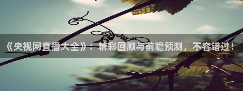 178免费高清足球免费直播：《央视网直播大全》：精彩回顾与前瞻预测，不容错过！