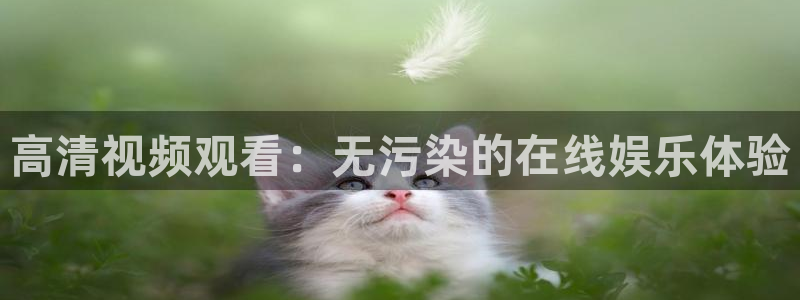 178足球免费直播在线观看：高清视频观看：无污染的在线娱乐体验
