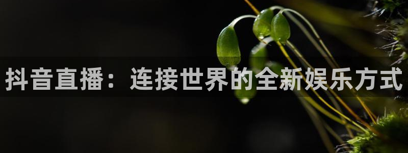 178体育赛事直播入口在哪：抖音直播：连接世界的全新娱乐方式