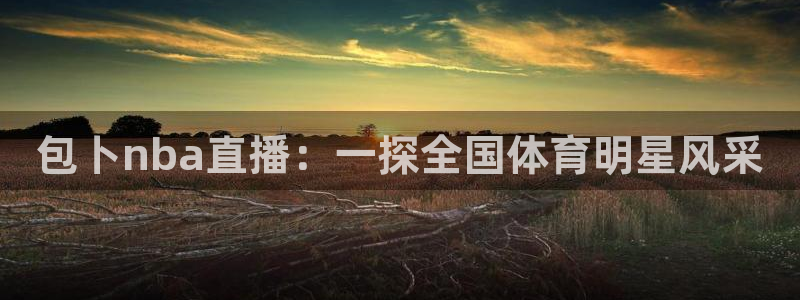 178体育nba直播：包卜nba直播：一探全国体育明星风采