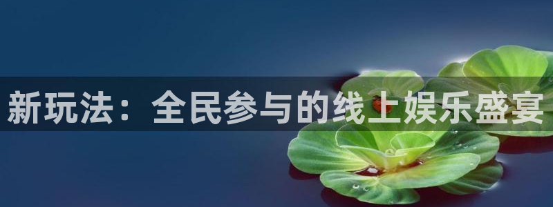 178体育直播在线：新玩法：全民参与的线上娱乐盛宴